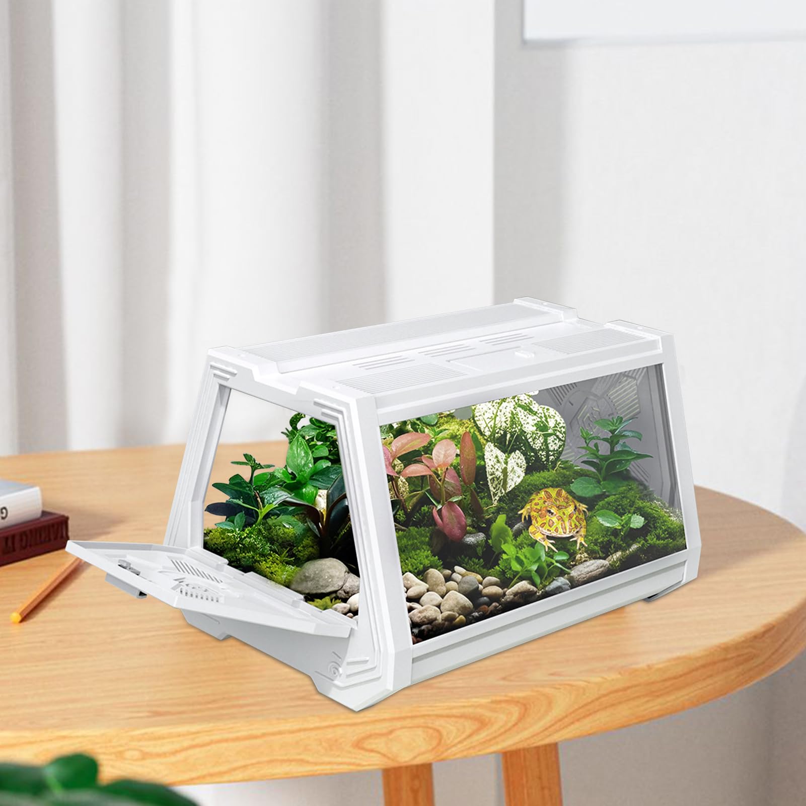 Terrario per Rettili Vasca per Animali Esotici | Habitat Antifuga con Ventilazione e Area Alimentazione per Tartarughe Rane Lumache