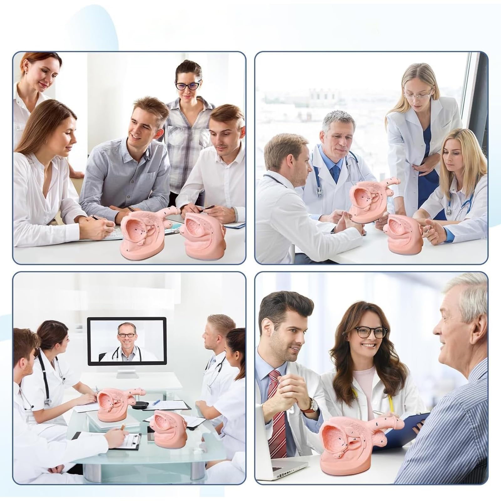 Generico Modello di catetere maschile femminile Modelli di catetere urinario genitale interno esterno Simulatore di manichino per l'apprendimento e la formazione