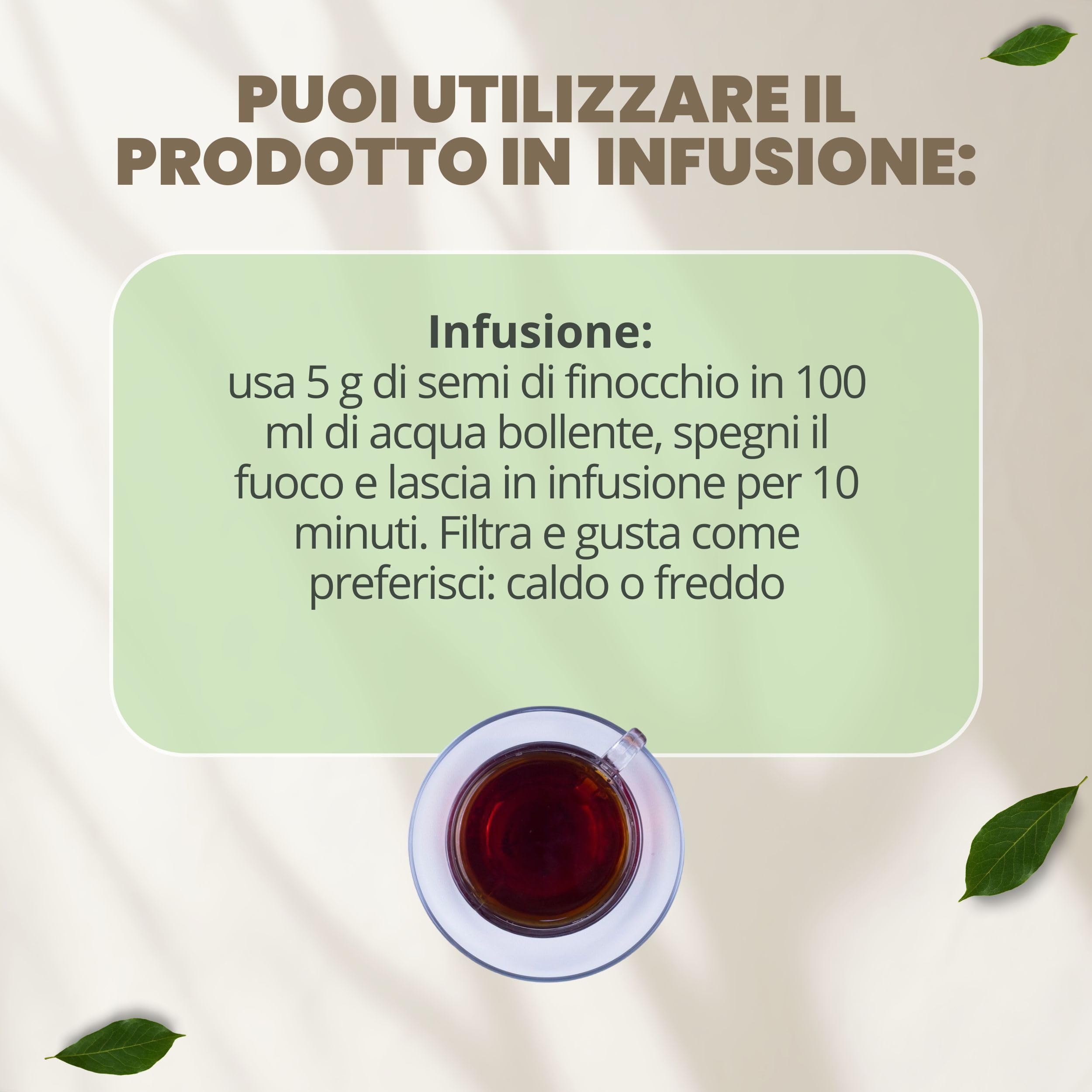 PATRIZIO BRESEGHELLO - Semi Finocchio Frutti Verdi Extra 100 g per Benessere Intestinale e Digestione - Semi di Finocchio per Tisana e Infuso 100% Naturali