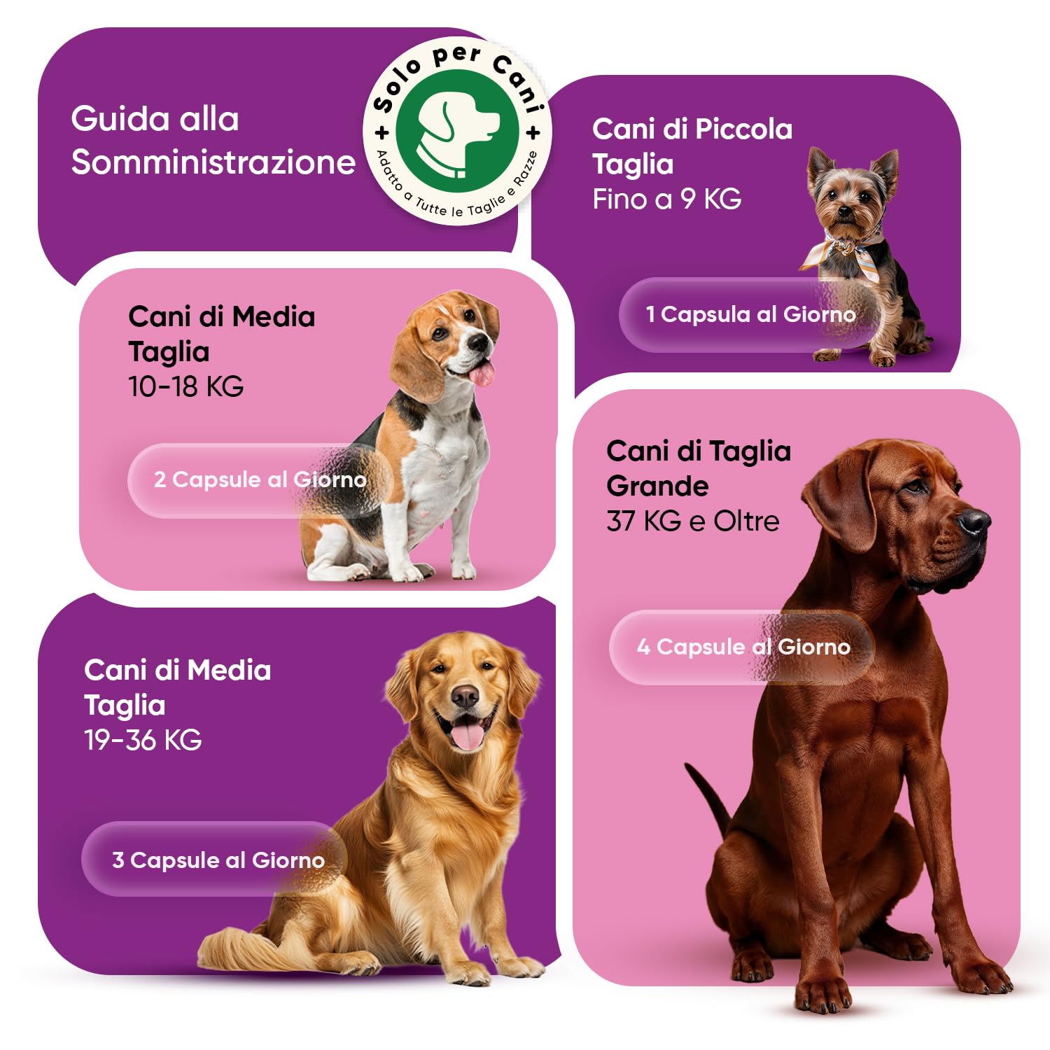 Urinary Cane con D Mannosio, Astragalo, Altea, Ortica, Liquirizia, Mirtillo Rosso Vie Urinarie, Integratori per Cani Anziani e Giovani, 120 Comode Capsule Apri & Versa, per Tutte le Razze e Taglie