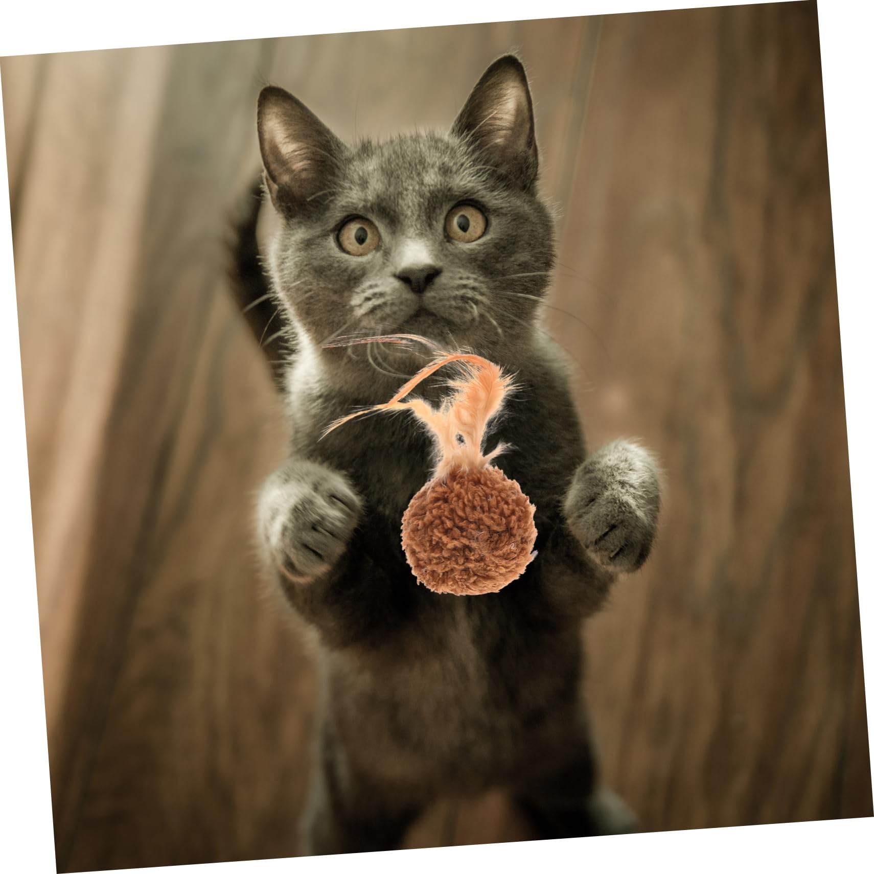 DOITOOL 45piezas Juguete Interactivo para Gatos De De y Sonajero Estimulación y Diversión para Mascotas para Jugar Interiores y Exteriores