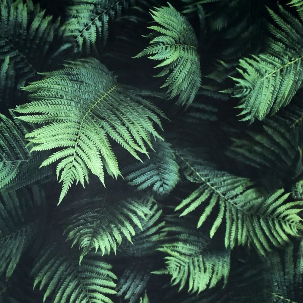 Arthouse | Fern Wall Green Wallpaper | Photographic Fern Design | 3D Effect Deep Green Leaves | Easy to Apply | Paste The Paper | 1005 x 53 cm