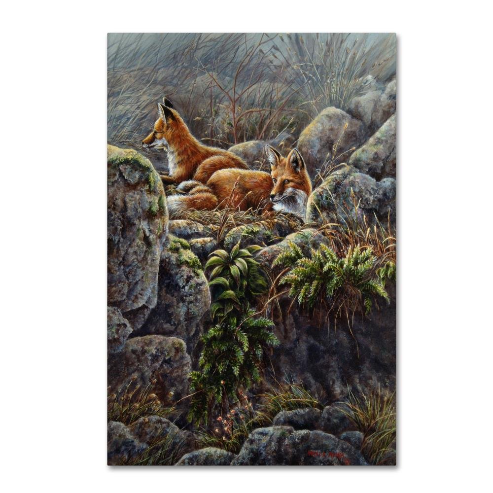 Sunny Ledge by Wanda Mumm, 16x24-Inch Canvas Wall Art