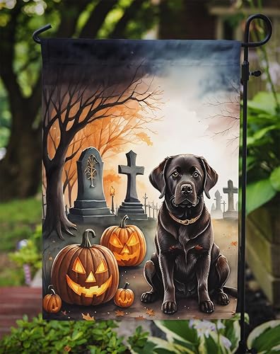 Miniatura 254 de Caroline's Treasures DAC2011GF - Bandera decorativa para jardín de Halloween con diseño de beagle para jardín, jardín, jardín, jardín, multicolor