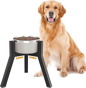 Best Elevated Dog Bowls for French Bulldogs 6 71tXya0WhJL. AC SX289