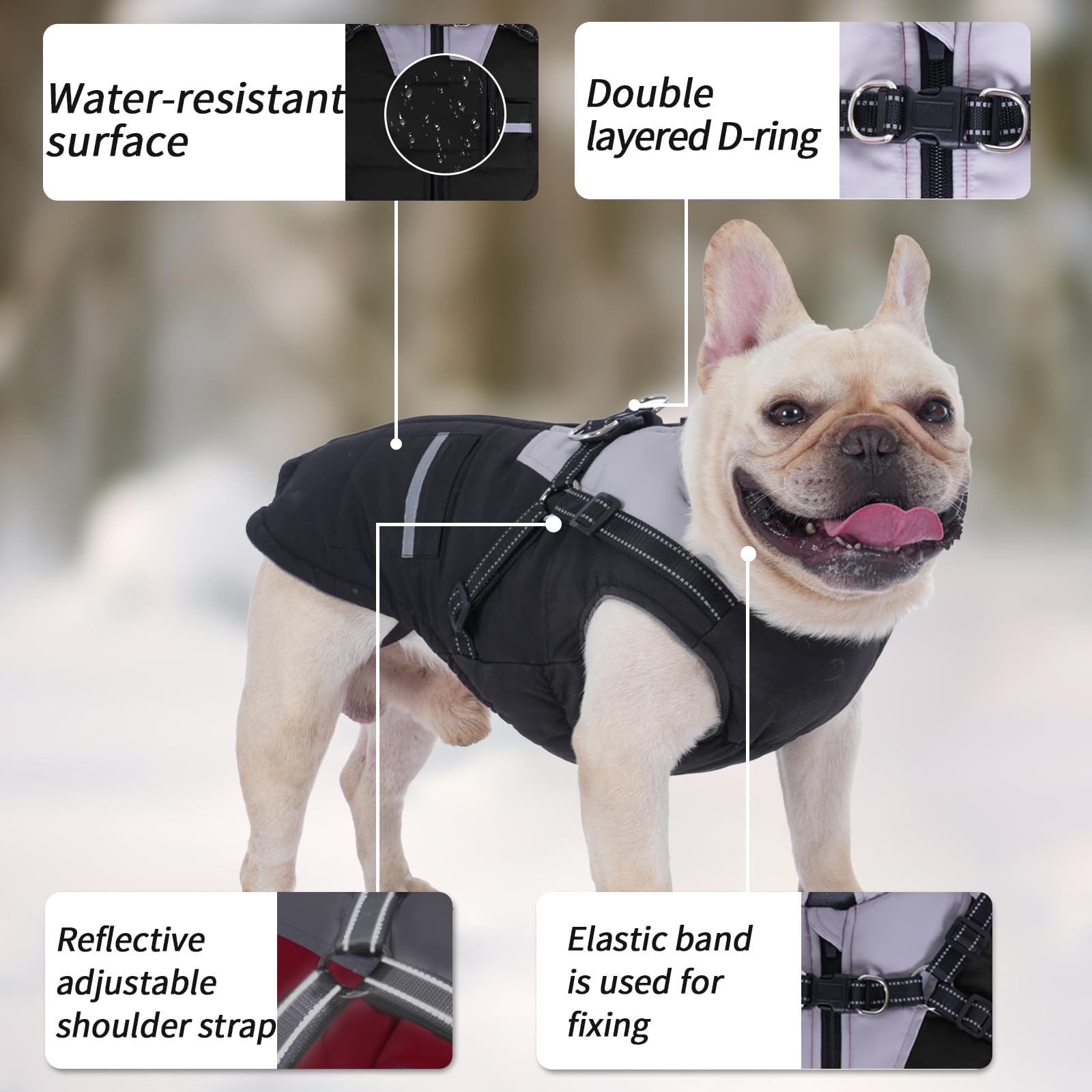 Cappottino Cane: Cappottini per Cani Piccola taglia Impermeabile Giubbotto - Cappotto Cane con Pettorina Adatto Invernale
