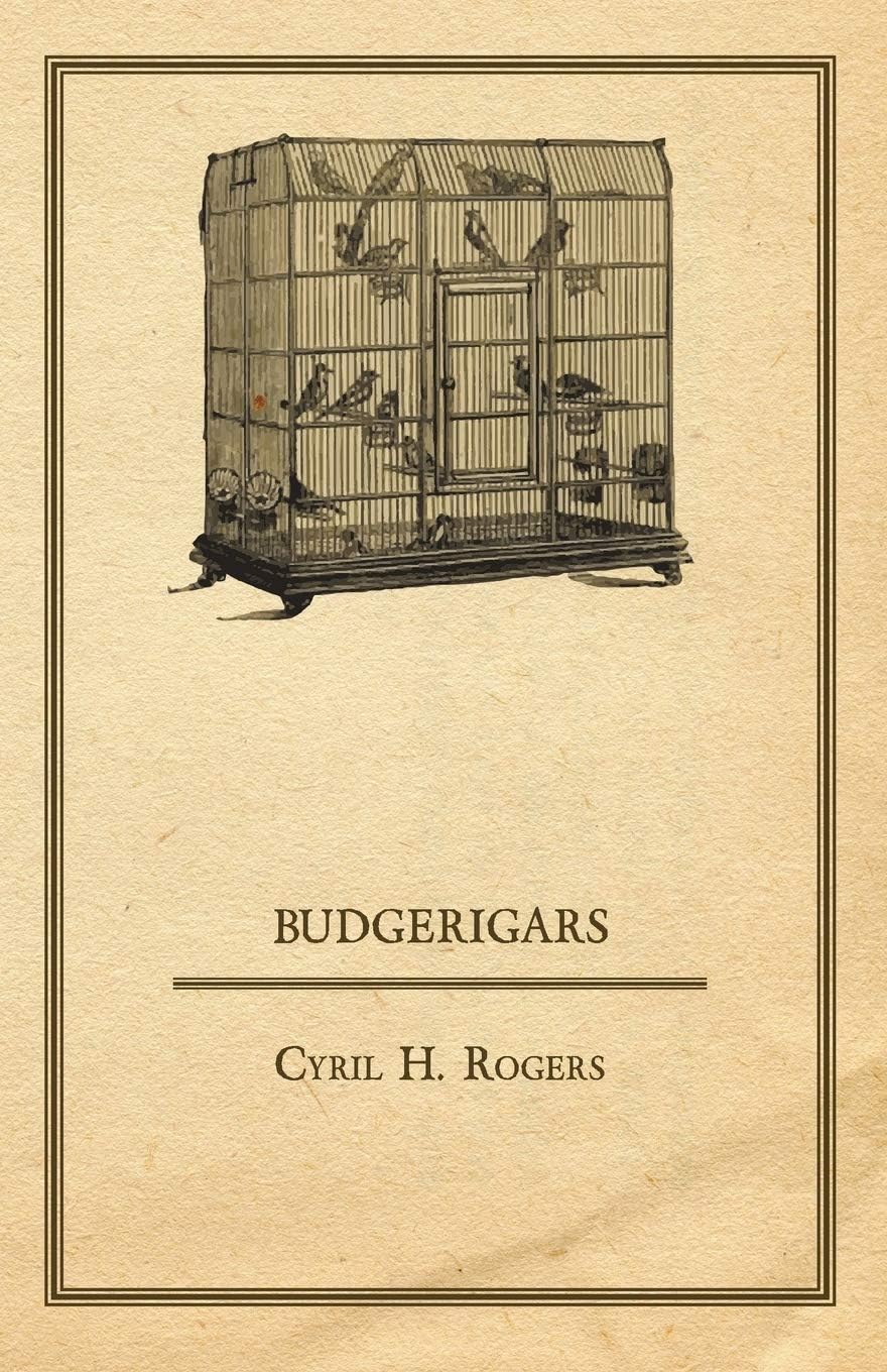 - Budgerigars
