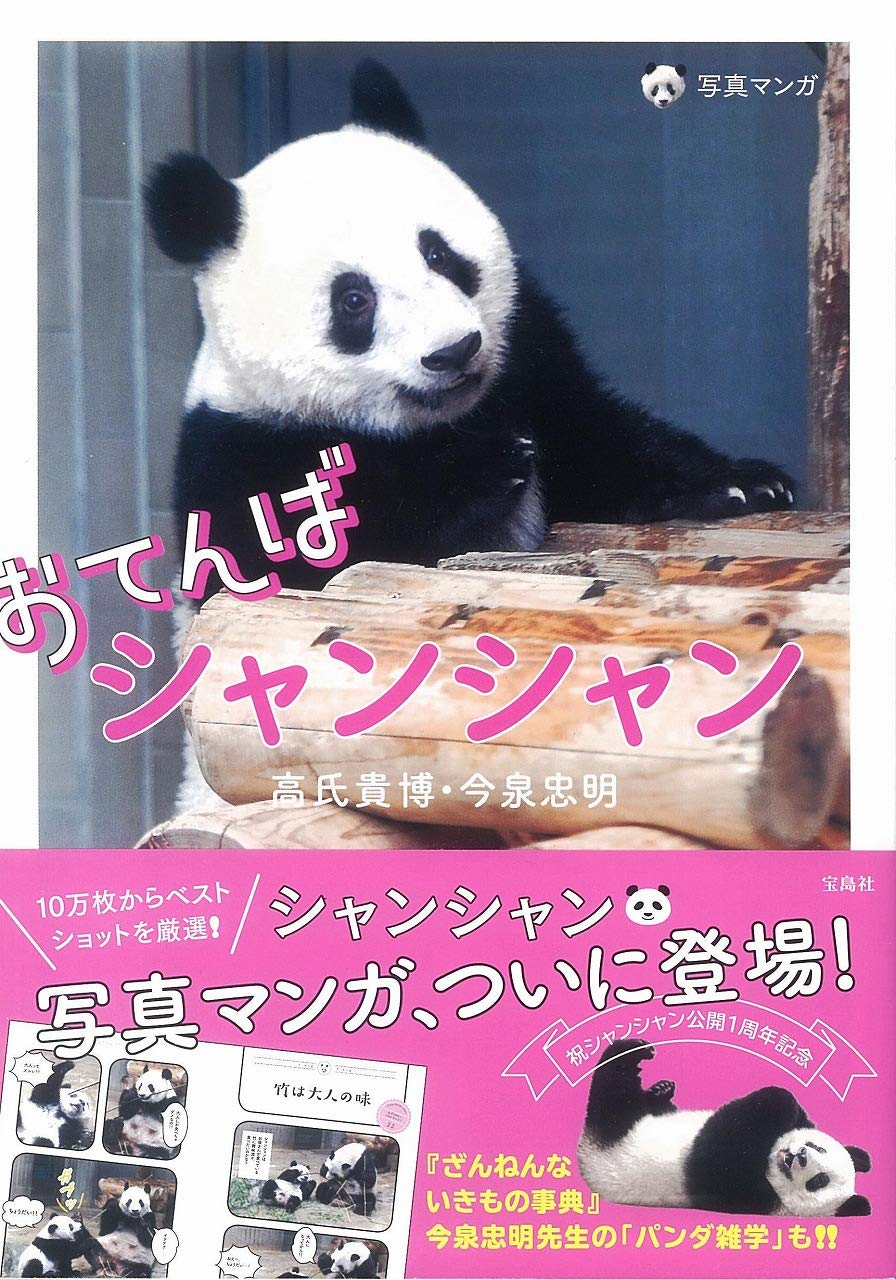 Amazon.co.jp: おてんばシャンシャン : 高氏 貴博, 今泉 忠明, 今泉