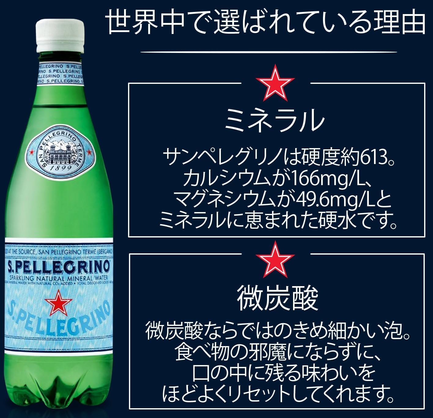 サンペレグリノ (S.PELLEGRINO) 炭酸水 PET 500ml [直輸入品] × 24本