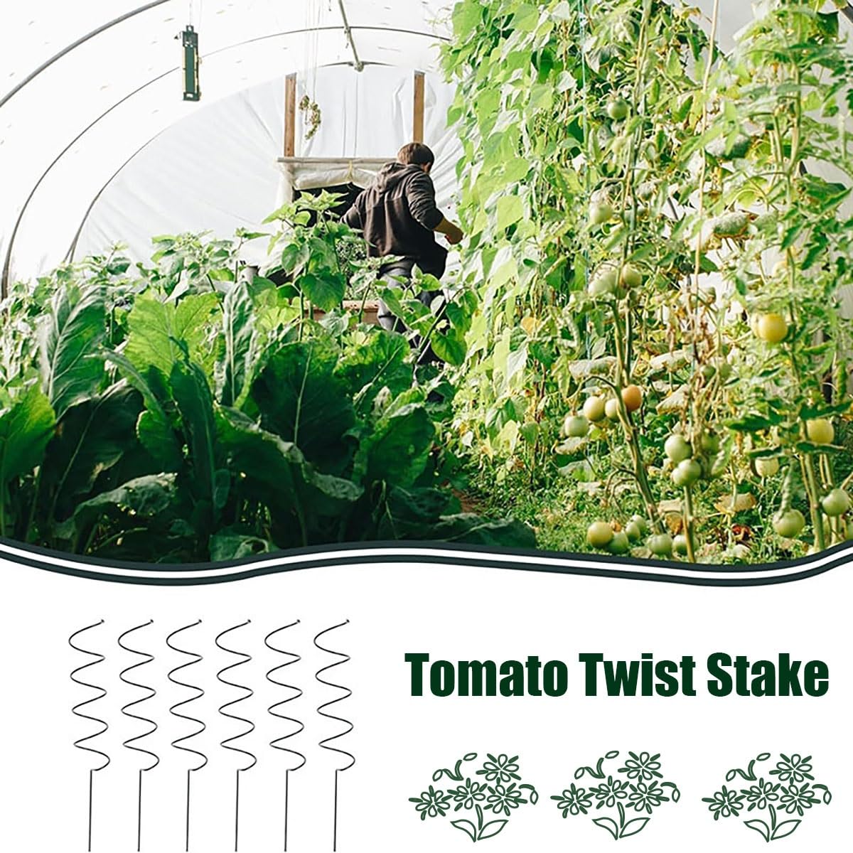 Tuteur torsadé for tomates, tuteurs en spirale for tomates, tuteurs torsadés for tomates, supports for plantes, cages à tomates en spirale, tuteurs métalliques for jardin, cour et serre(Straightx10+Sp