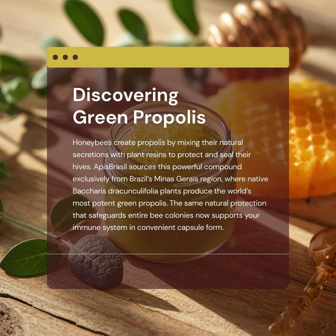 Brazilian Green Bee Propolis 900mg Natural Immune Support - 90 Softgels - Image 4