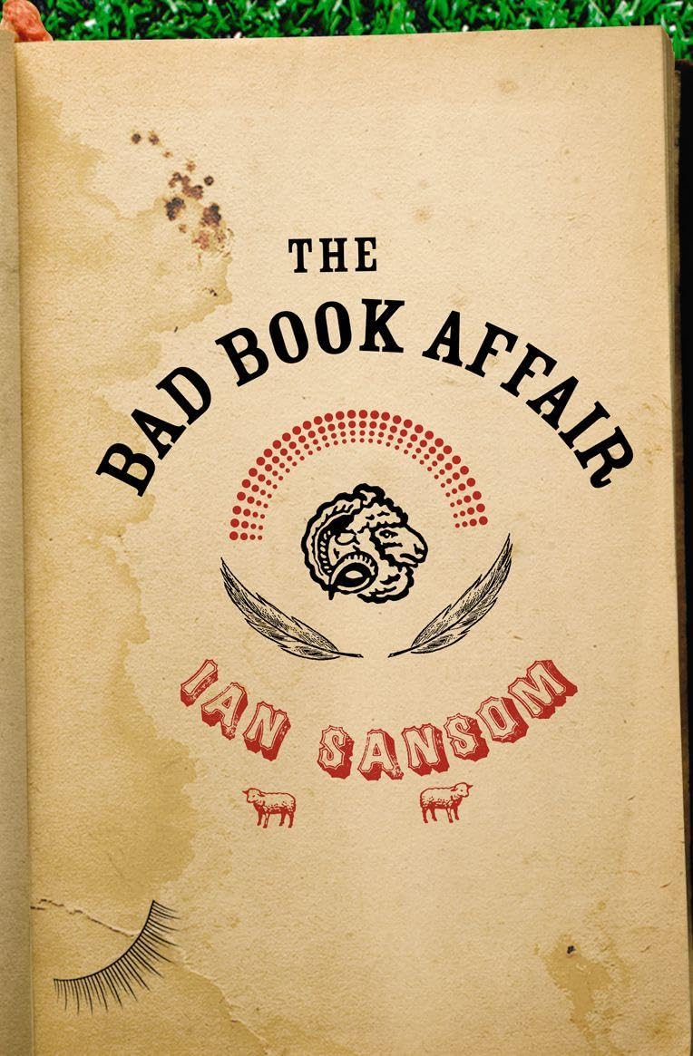 THE BAD BOOK AFFAIR: A Hilarious Cozy Mystery About a Librarian on the Trail of a Missing Teenager