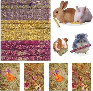 Abizoo 16 Packs Bunny Flower Chew Toys | Natural Rabbit Sticks, Herbal Floral Scent Timothy Hay Treats, for Guinea Pig Chinchilla Hamster Rat Degus Gerbil