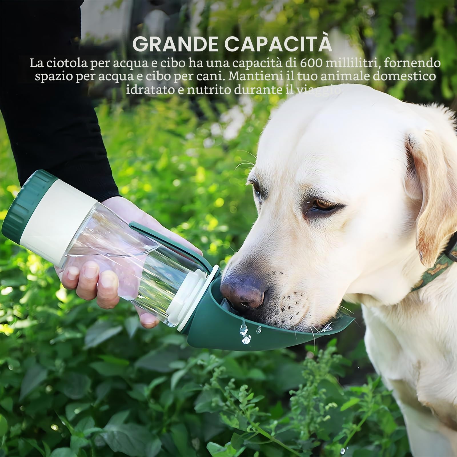 PORFOYO Borraccia da 600 ml per Cani, da Viaggio