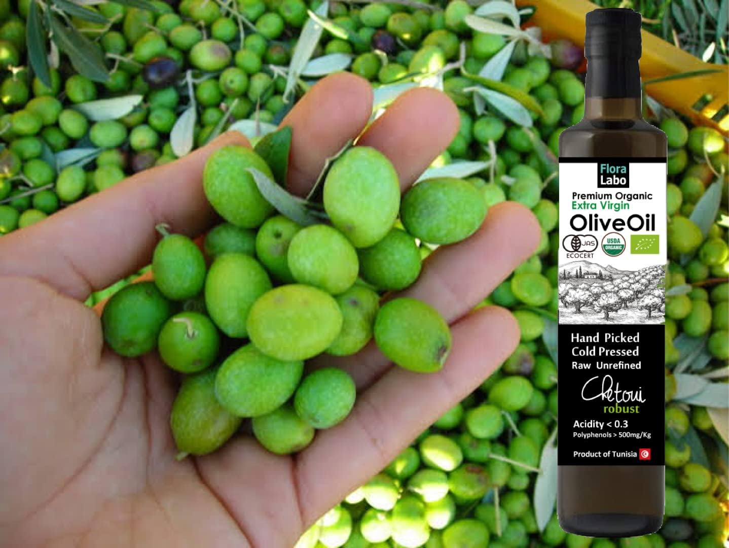オーガニック エキストラバージンオリーブオイル 500mL CHETOUI ROBUST 【オリーブジャパン 金賞｜有機JAS｜高ポリフェノール｜コールドプレス製法】 High Polyphenol Organic Extra Virgin Olive Oil (1)