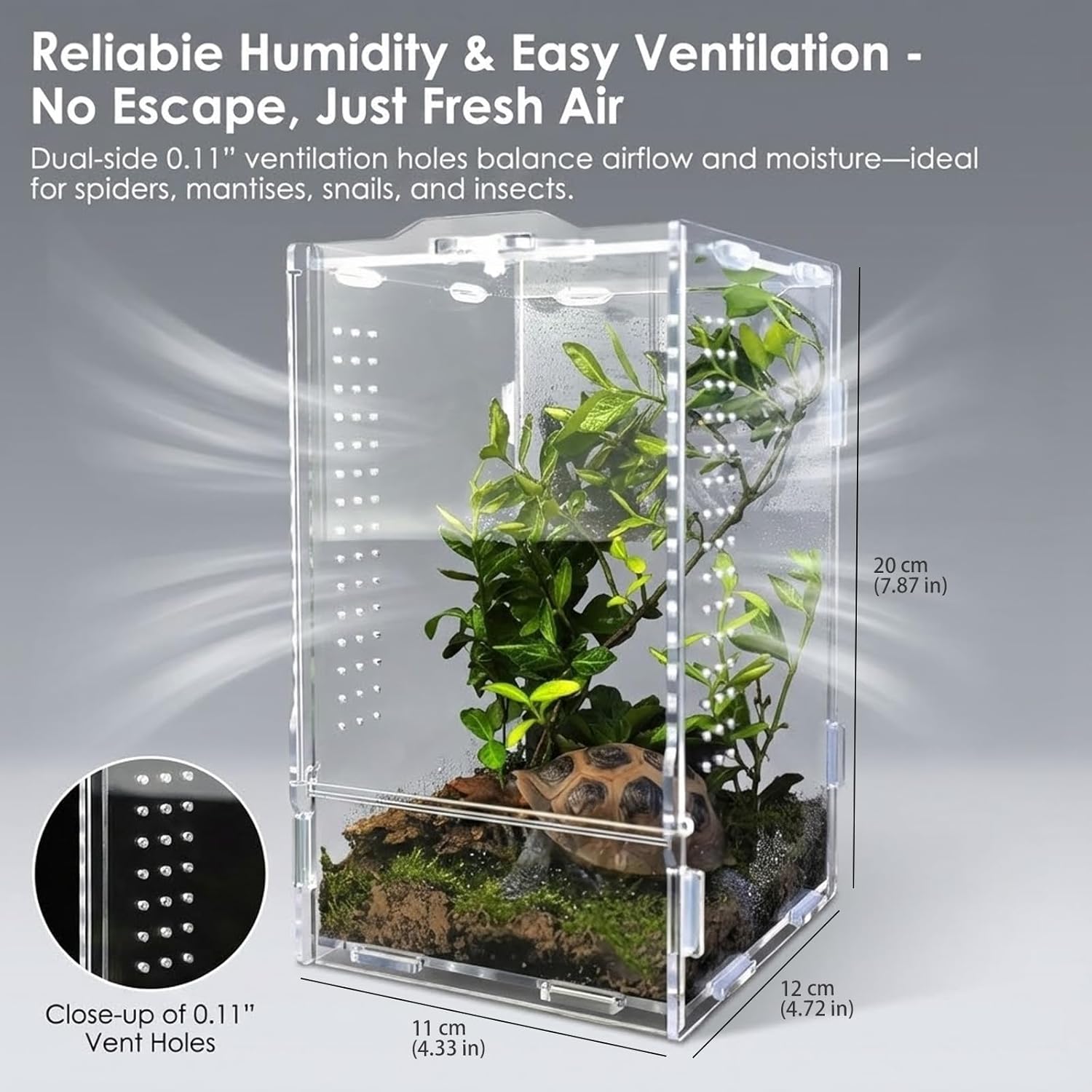 Acrylic Jumping Spider Enclosure: Tarantula Enclosure with Door Lock for Gecko Praying Mantis Snail - Front Opening Arboreal Reptile Terrarium Dual-Side Ventilation Bug Habitat for Desk Decor