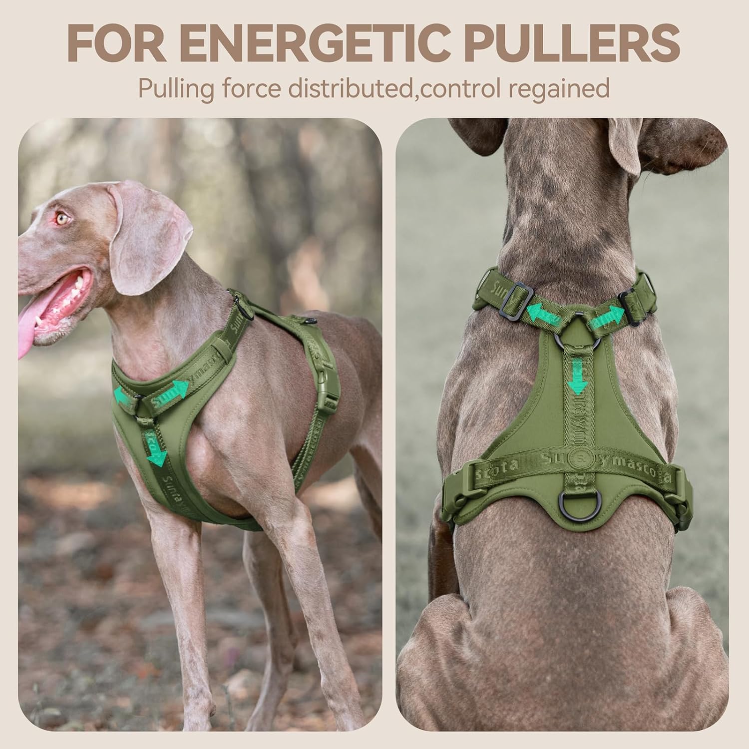 No Pull Dog Harness with Lycra, Three-Point Force Dispersion & 3D Padding, Adjustable Breathable Mesh for Small Medium Large Dogs(Misty Green,XS)