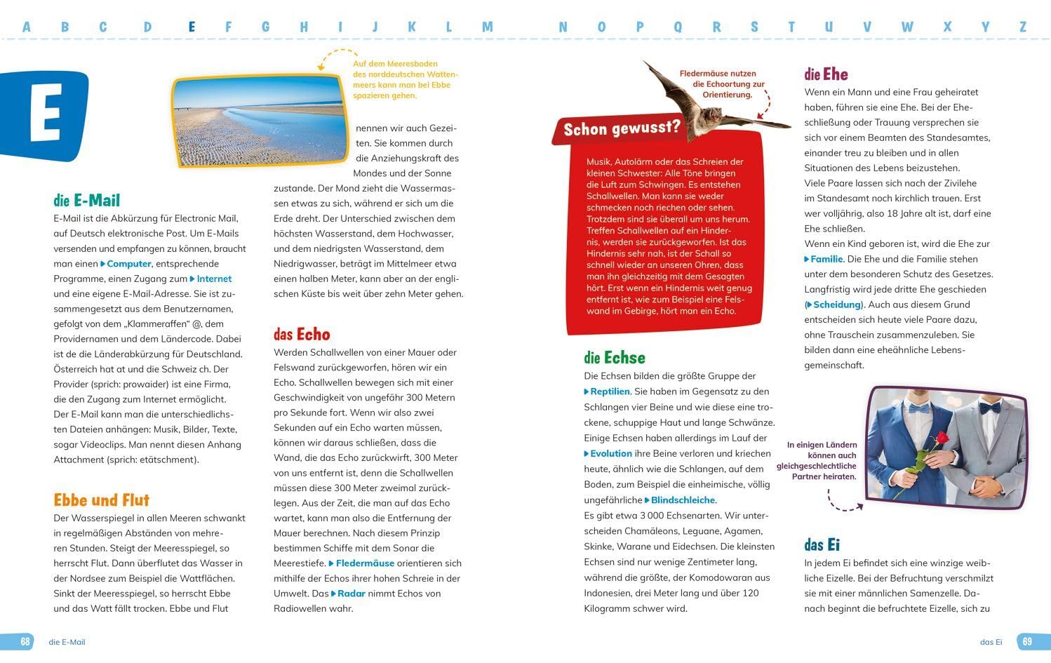 Das große WAS IST WAS Grundschullexikon von A-Z (WAS IST WAS Edition)
