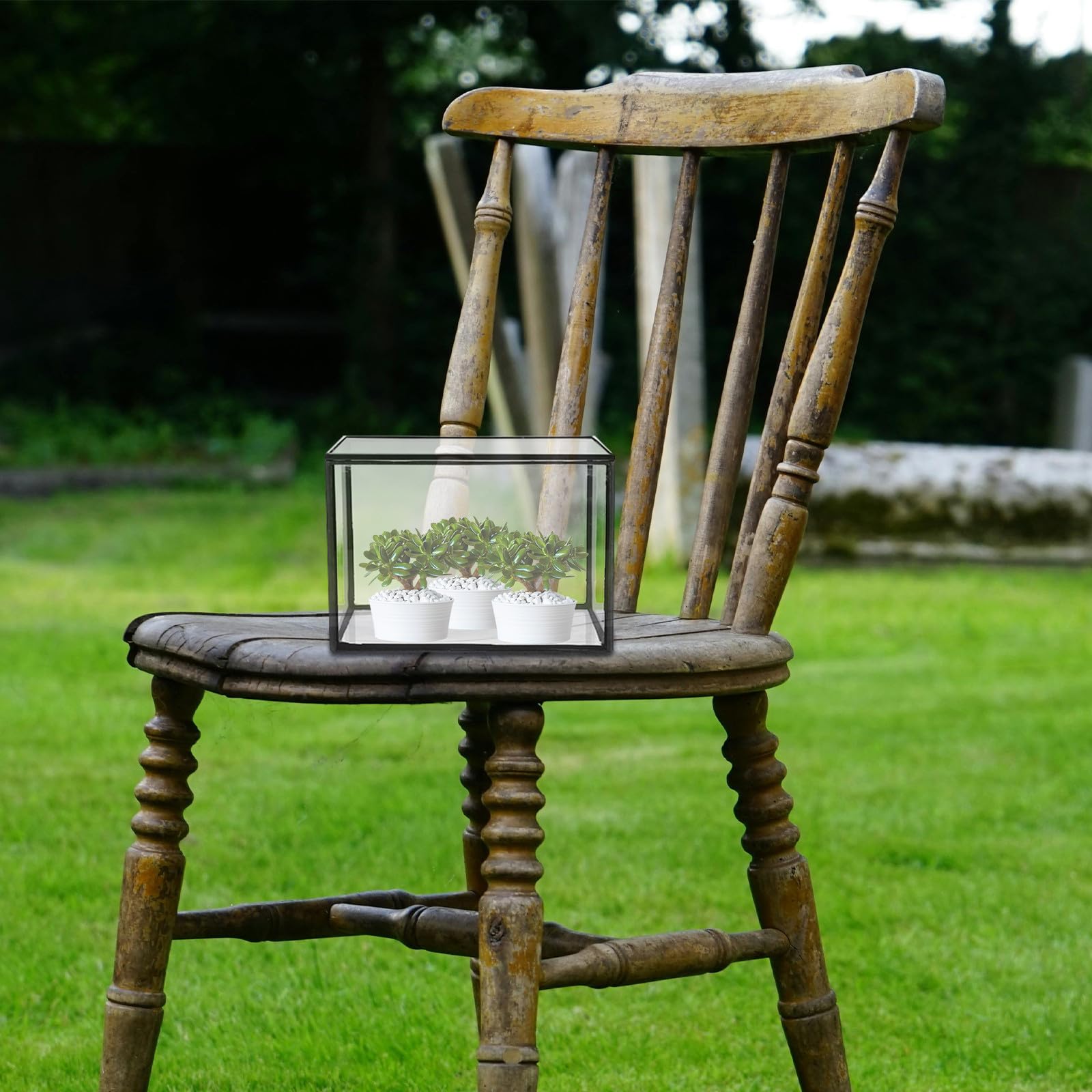 Terrario de Plantas Suculentas de Vidrio Transparente para Decoración, Recipiente Pequeño y Creativo para Jardín o Regalo, Estilo Natural y Artístico