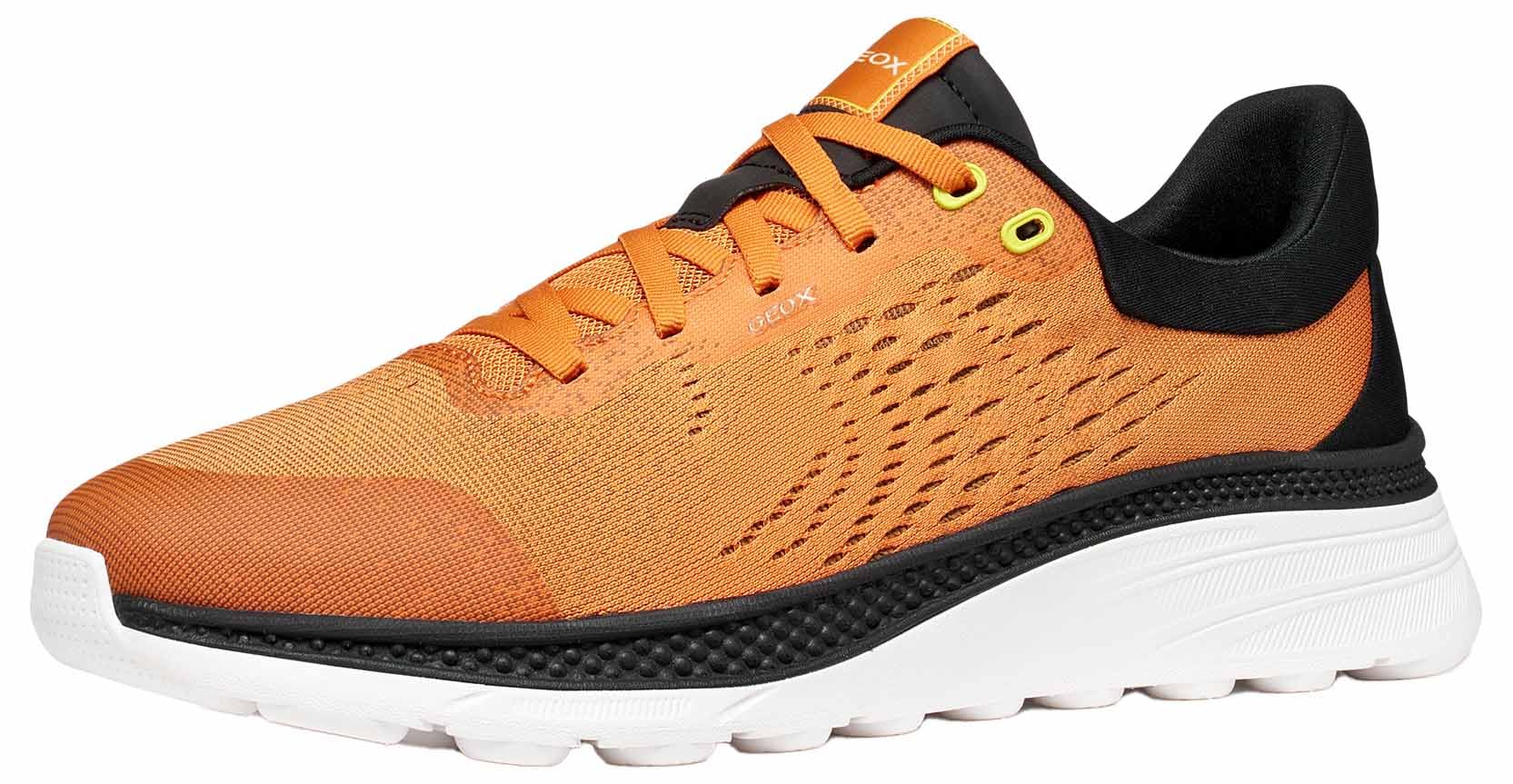 Geox: Auswahl an Schuhen
