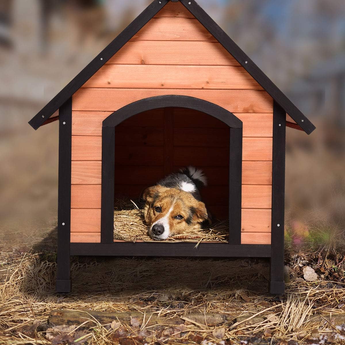 Tangkula Dog House, Wooden Pet Kennel, Outdoor Weather Waterproof Pet House, Natural Wooden Dog House Home with Reddish Brown Roof, Pet…