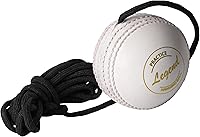 SS Legend Hanging Cricket Ball with Threaded Seam - Reaction Training, Bat Knocking & Batting Practice Tool (Red/White/Pink)