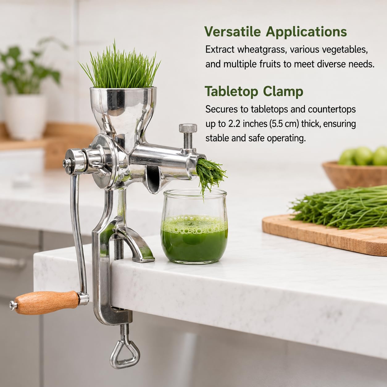 Spremiagrumi manuale di Wheatgrass, stampa fredda della manovella