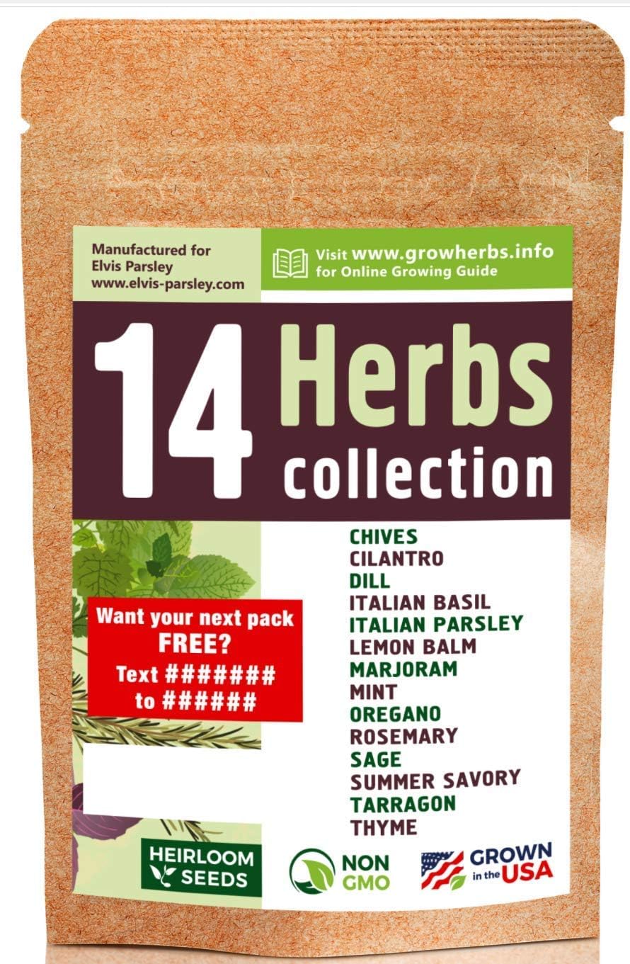 5 Mint Black Peppermint Plug Plants Amazon.co.uk Garden