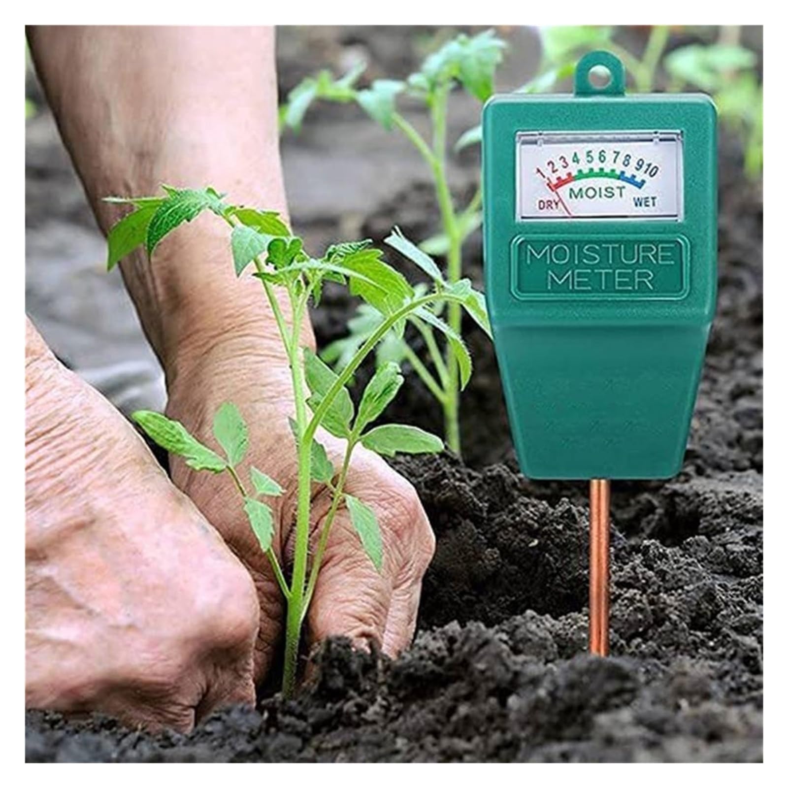 Humidimètre de sol 8 pièces, eau des plantes intérieure et extérieure