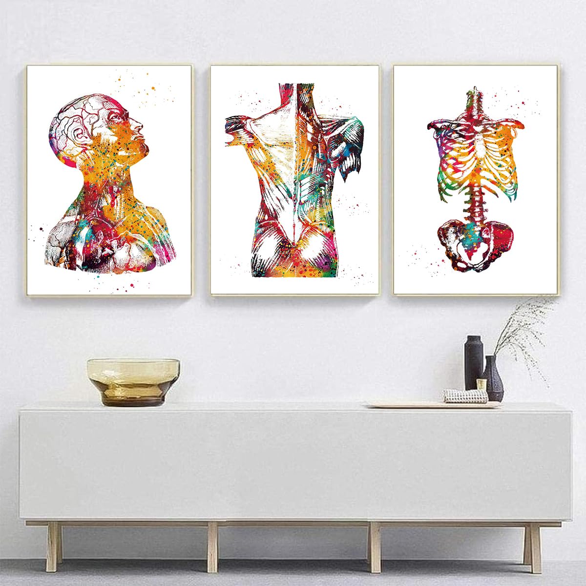 KXHHYB Póster de anatomía juego de 3, corazón cerebro humano anatomía póster hospital clínica arte de pared póster medicina pared cuadros sin marco (B, 40 x 60 cm**3)