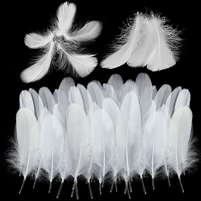 FYSL 300Pcs White Feathers,feathers for crafts Natural Crafts Goose Feathers for DIY Dream Catchers,Wedding Festival Home Party Decorations