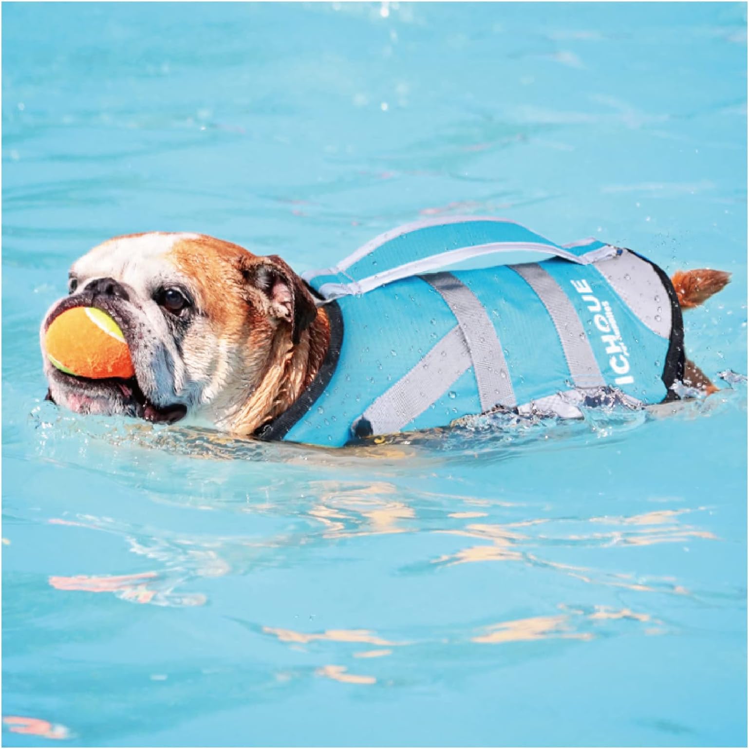 AMORE Dog Life Jackets Dog Saver Life Jacket Dog Swimming