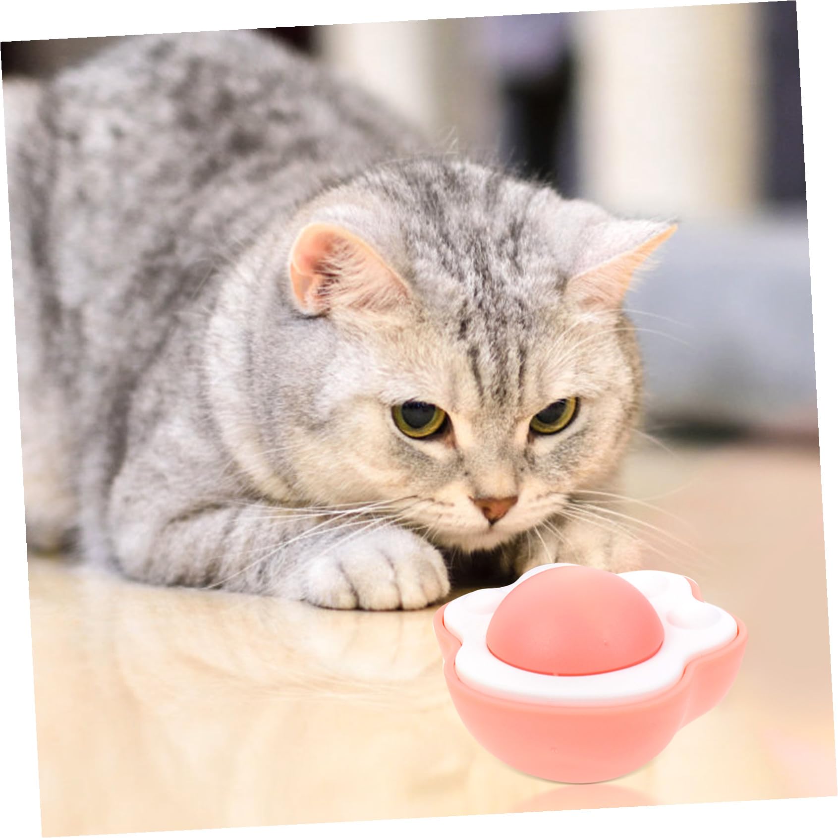 POPETPOP 15pièces Boule De Cataire Interactive pour Chats De Boules Comestibles Jouet Amusant pour Chats Intérieur Le Et Améliore La Santé