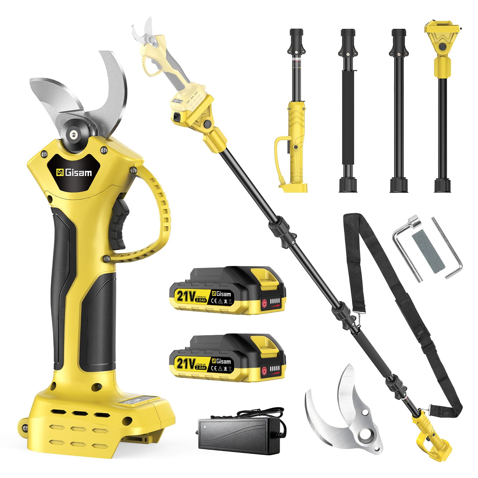 Sécateur Électrique Avec Perche, Moteur Brushless, Portée Totale 2,8 m, 2-en-1 Secateur Electrique Sans Fil avec Lame SK5 et 2x2.0 Ah Batteries, pour Jardinage, Ferme, Arbres Fruitiers