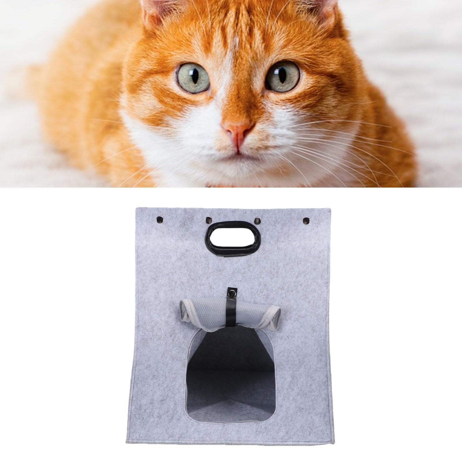 Sac de voyage pliable pour animaux de compagnie idéal en voiture