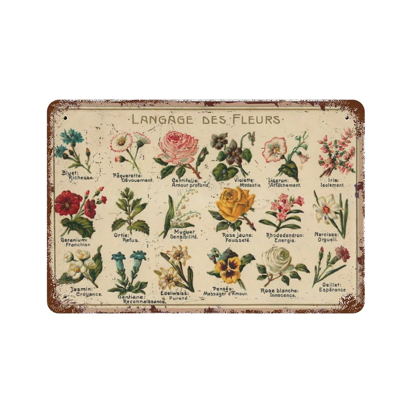 AOOEDM Retro Botanical Vintage Metal Sign Tin Sign for Home Bar Pub Kitchen Man Cave Tin Sign Wall Decor Poster Wall Plaque