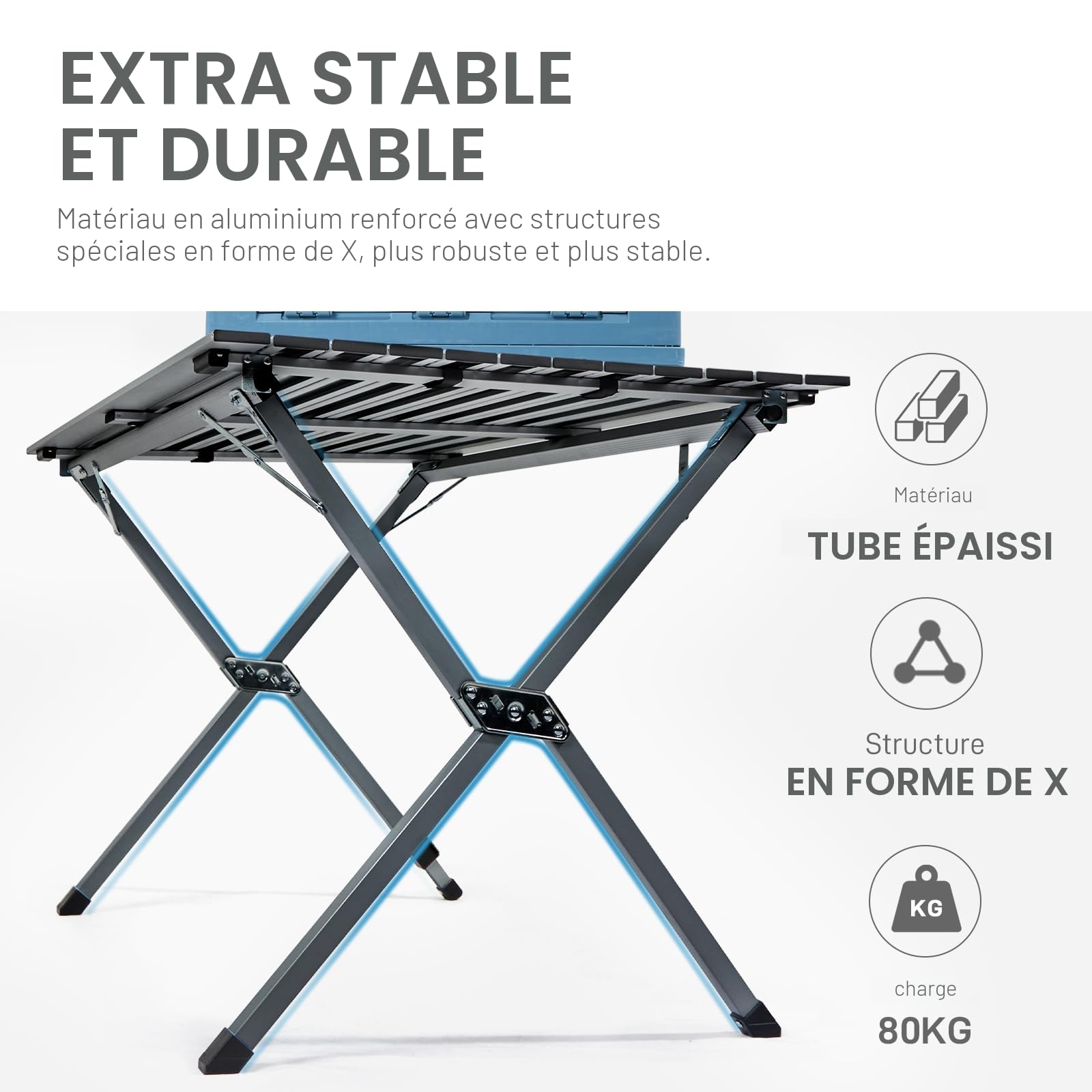 EVER ADVANCED Table de Camping Pliante 120x70cm, Plateau de Table en Aluminium, Capacité de Charge 80KG, pour 4-6 Personnes, avec Sac de Transport pour Camping Jardin Balcon, Gris