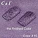 C & I Dip Powder, Glitters Color Collection, Shining Dipping Powder for Nail Beauty, Acrylic Color System (# 93)