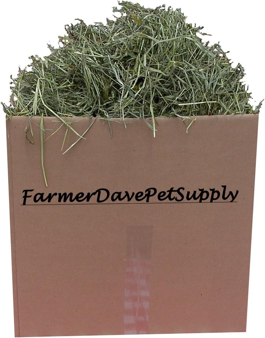 35 lb Early 1st Cut Premium Rabbit and Bunny Hay