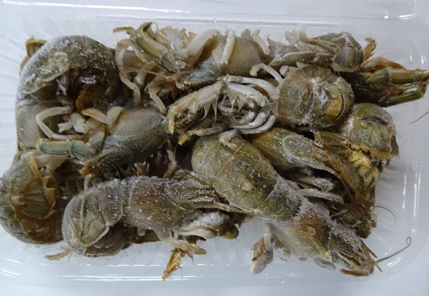 冷凍カメジャコ180匹