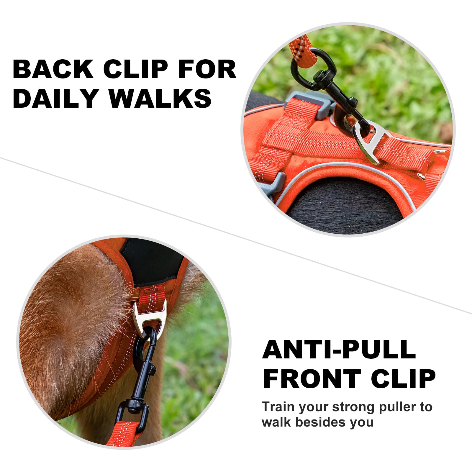 Plutus Pet No Pull Dog Harness, Release at Neck, Soft Padded, Reflective Adjustable Dog Vest Harness for Small Medium - Image 3