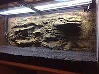 Review Image by Damon Outdoors Damon Outdoors