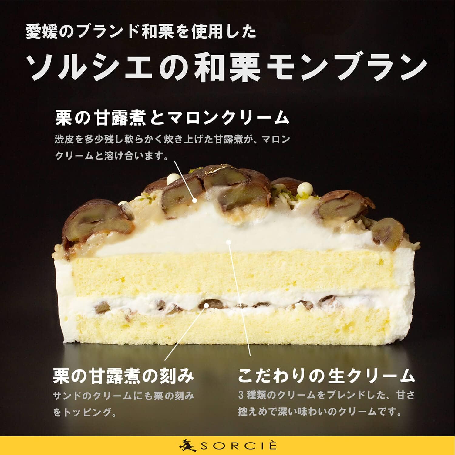 魔法洋菓子店ソルシエ 和栗モンブラン ケーキ 5号 直径16cm 5人～7人分 約700g 【単品（飾り無し）】