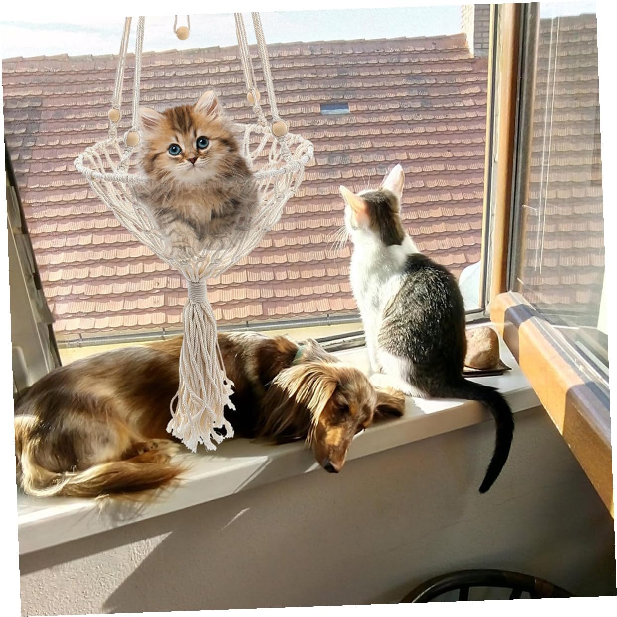 UPKOCH Bohemian Woven Hanging Cat Hammock 40cm Pet Bed Sturdy Mesh Cat Supply for Indoor to 30lbs