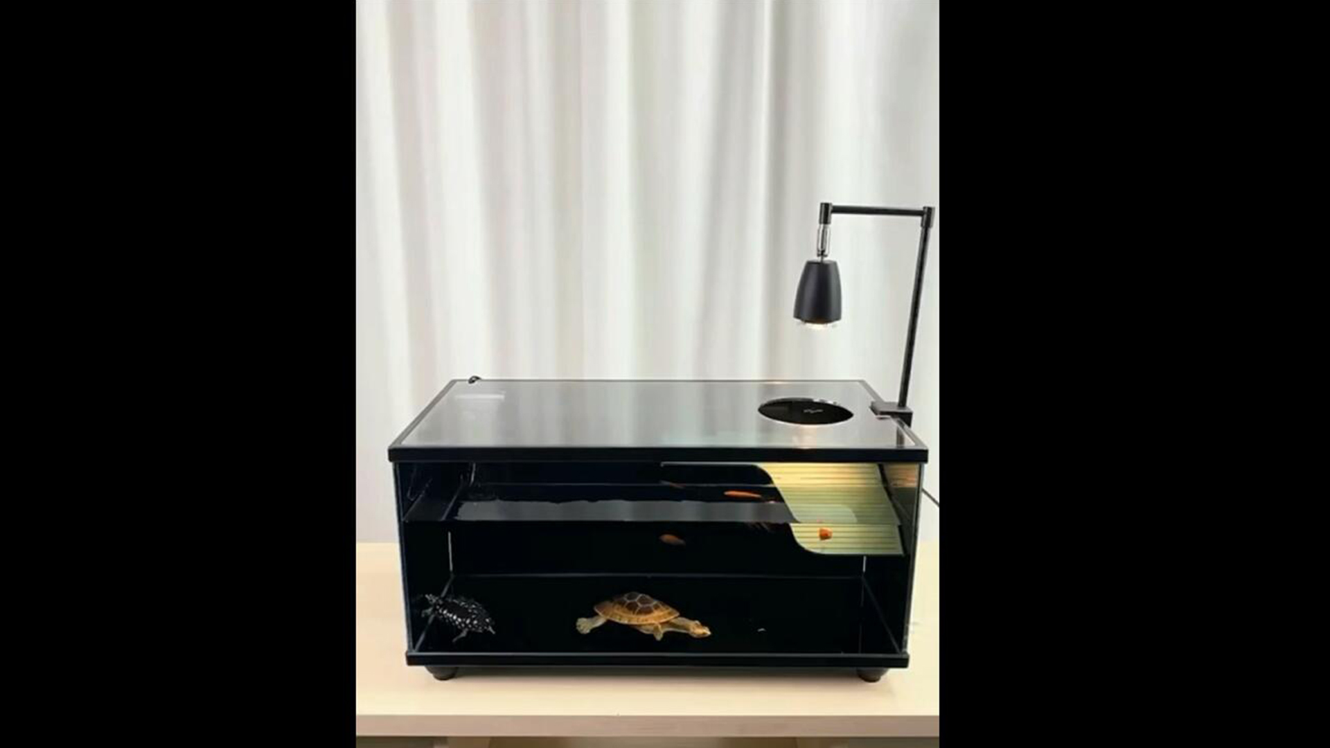 Amazon | 超白色ガラス亀 水槽 アクリルトップカバー付き亀 飼育