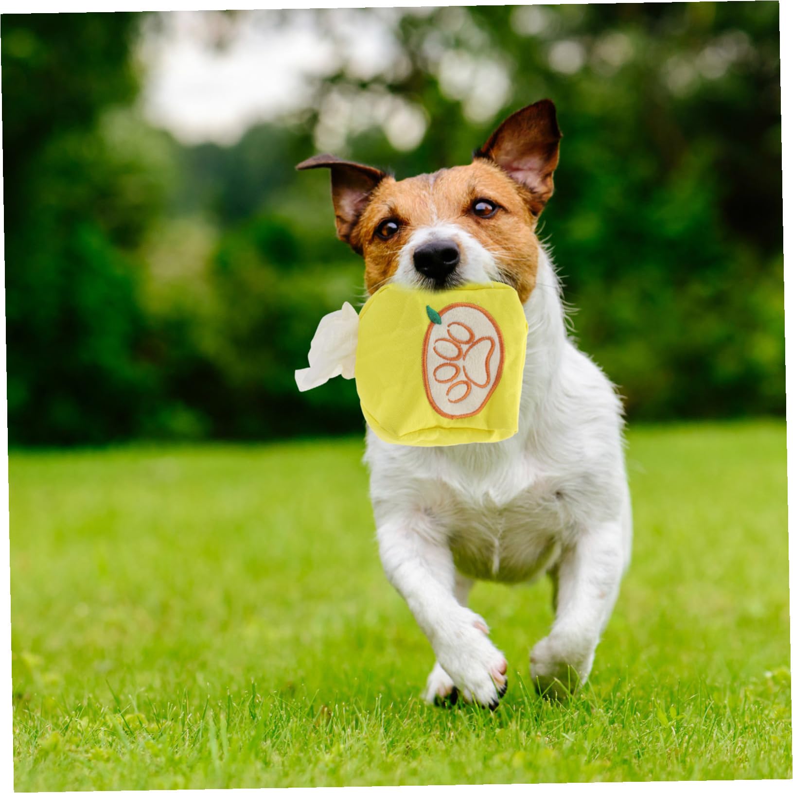 YARNOW 5piezas Juguete Interactivo De Forrajeo para Perros Entrenamiento De y Estimulación Mental para Perros Pequeños y Medianos Juguete para Consumir Energía y Diversión