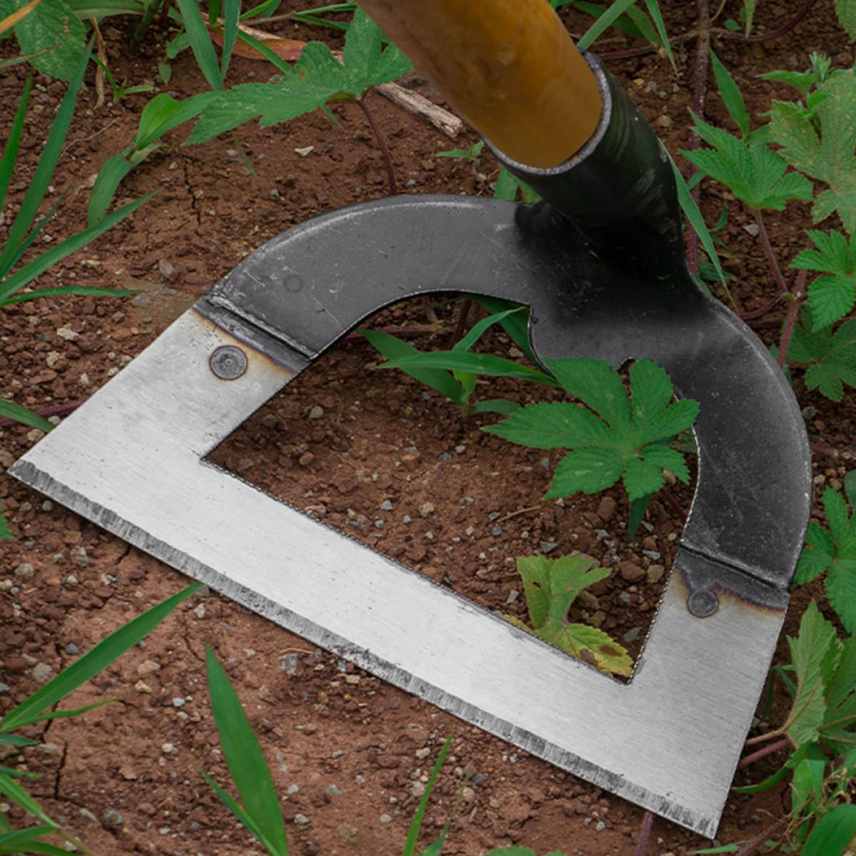Attrezzo da Giardino per Allentare e Scavare in Inossidabile Resistente e Multiuso per Appassionati di Giardinaggio e Esterno