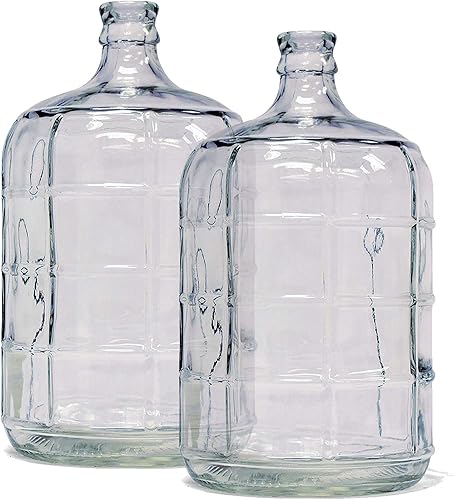 Home Brew Ohio Juego de 2 Carboy de vidrio de 3 galones