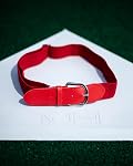 Rawlings | Elastic Game Day Belt | Baseball/Softball | Adult/Youth | Multiple Colors