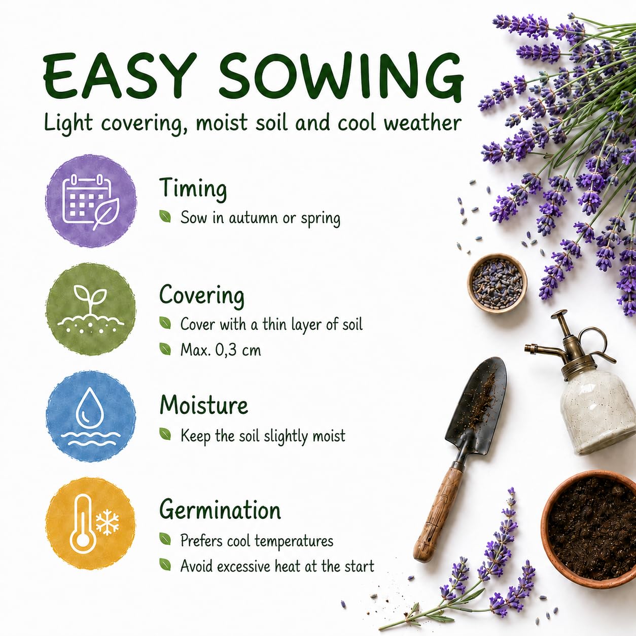 Grounding - Lavender Seeds (Lavandula angustifolia), 3000 seeds - Intense fragrance & purple blooms, ideal for garden & pots - European Quality
